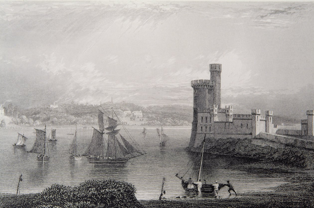Castello di Black Rock, vicino a Cork, Irlanda, 1830s da William Henry Bartlett