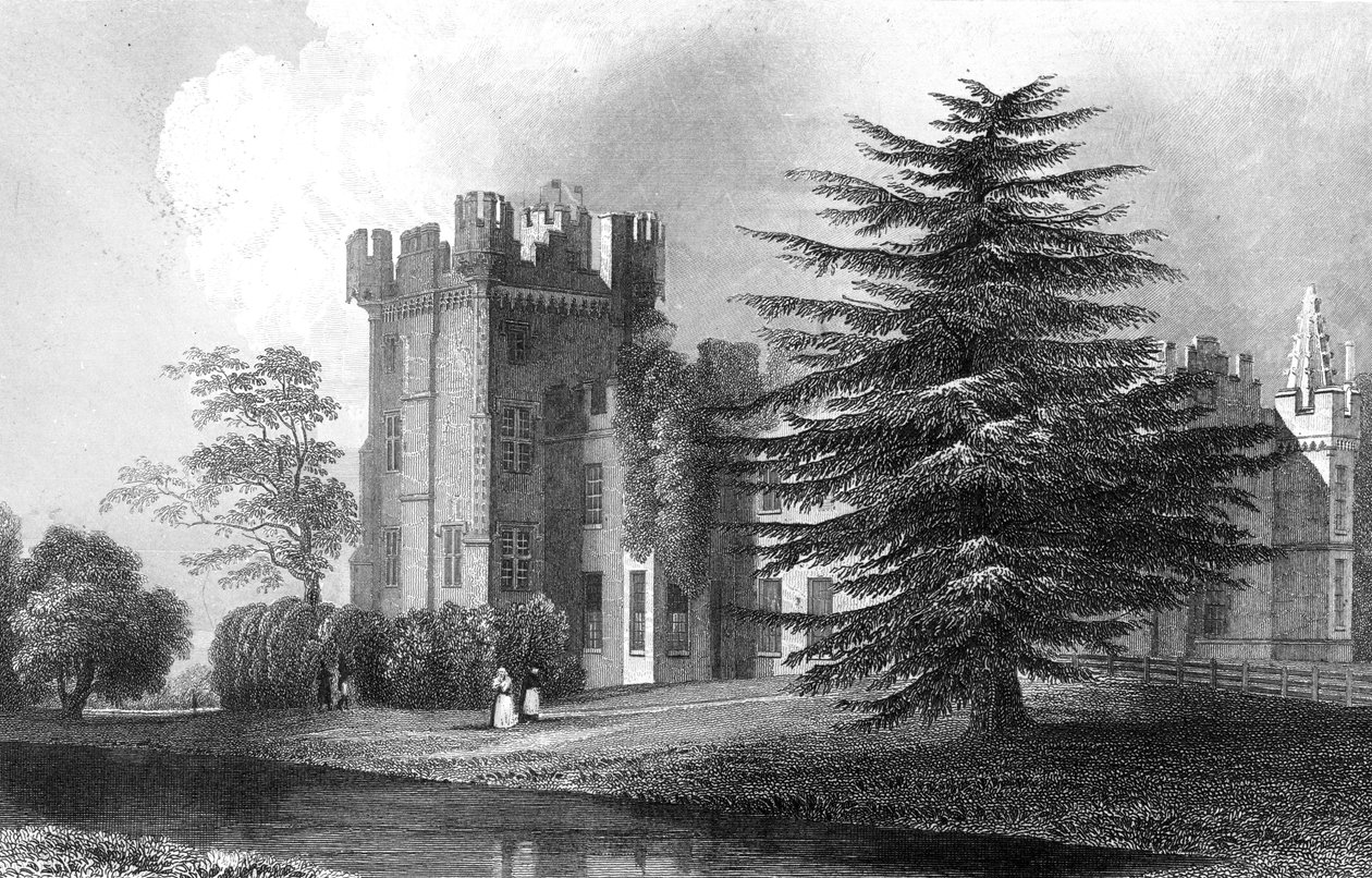 Faulkbourn Hall, vicino a Whitham, Essex, inciso da Henry Wallis, 1832 da William Henry Bartlett