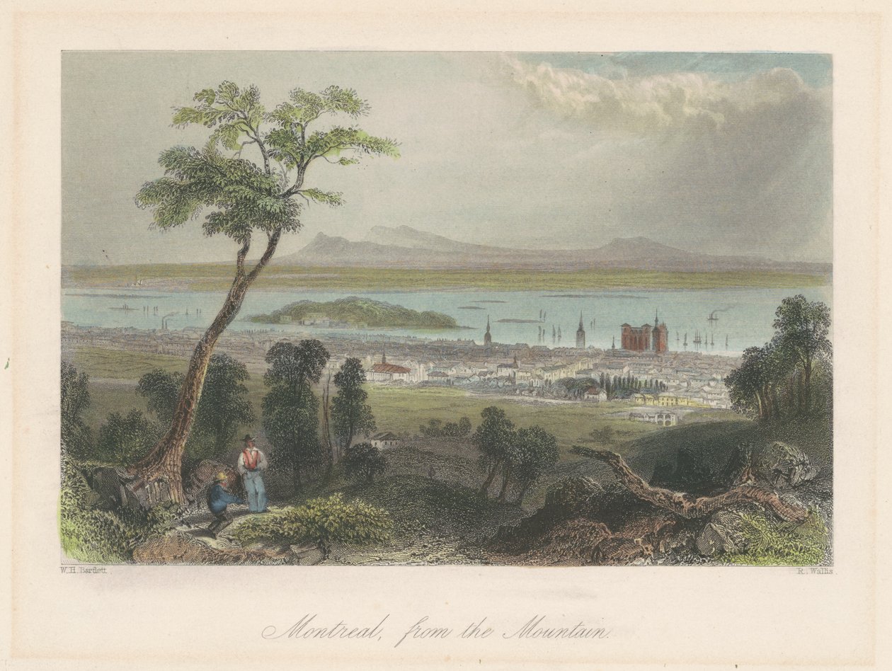 Montréal, dalla montagna da William Henry Bartlett