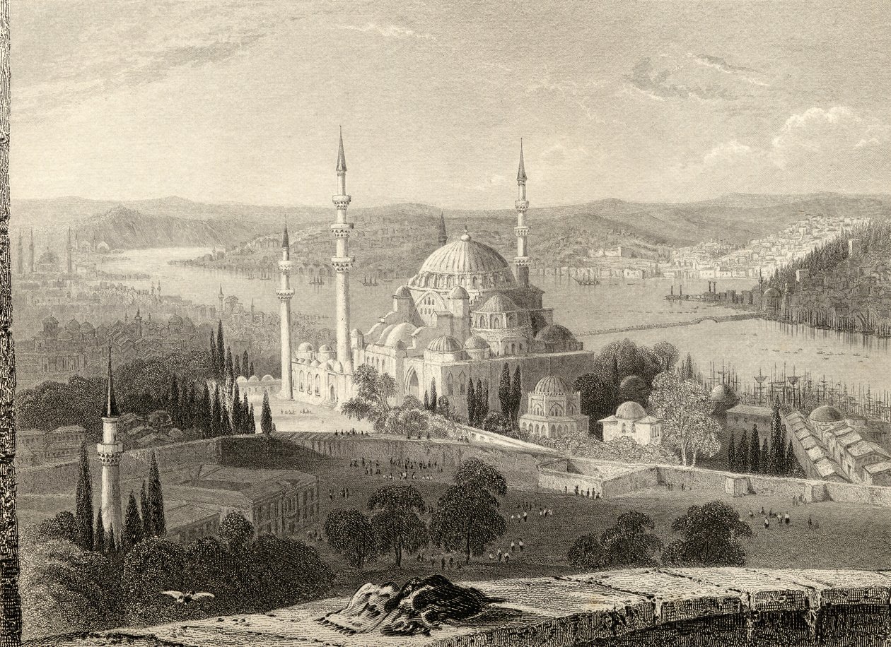 Moschea e tomba di Solimano, dalla Torre del Seraskier, Istanbul, Turchia, inciso da H. Adlard da William Henry Bartlett
