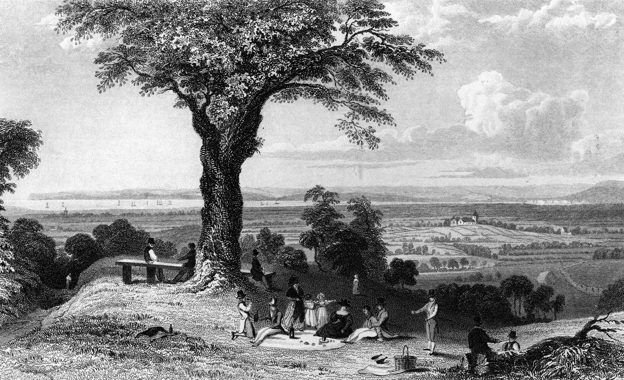 Scena da Laindon Hill, vicino a Horndon, Essex, inciso da Henry Wallis, 1832 da William Henry Bartlett