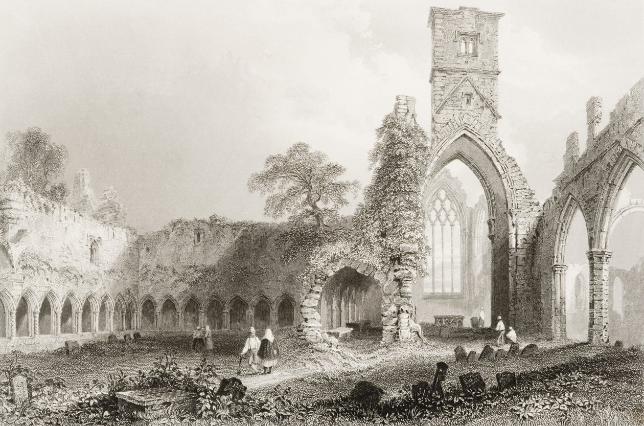Abbazia di Sligo, Contea di Sligo, Irlanda, da 