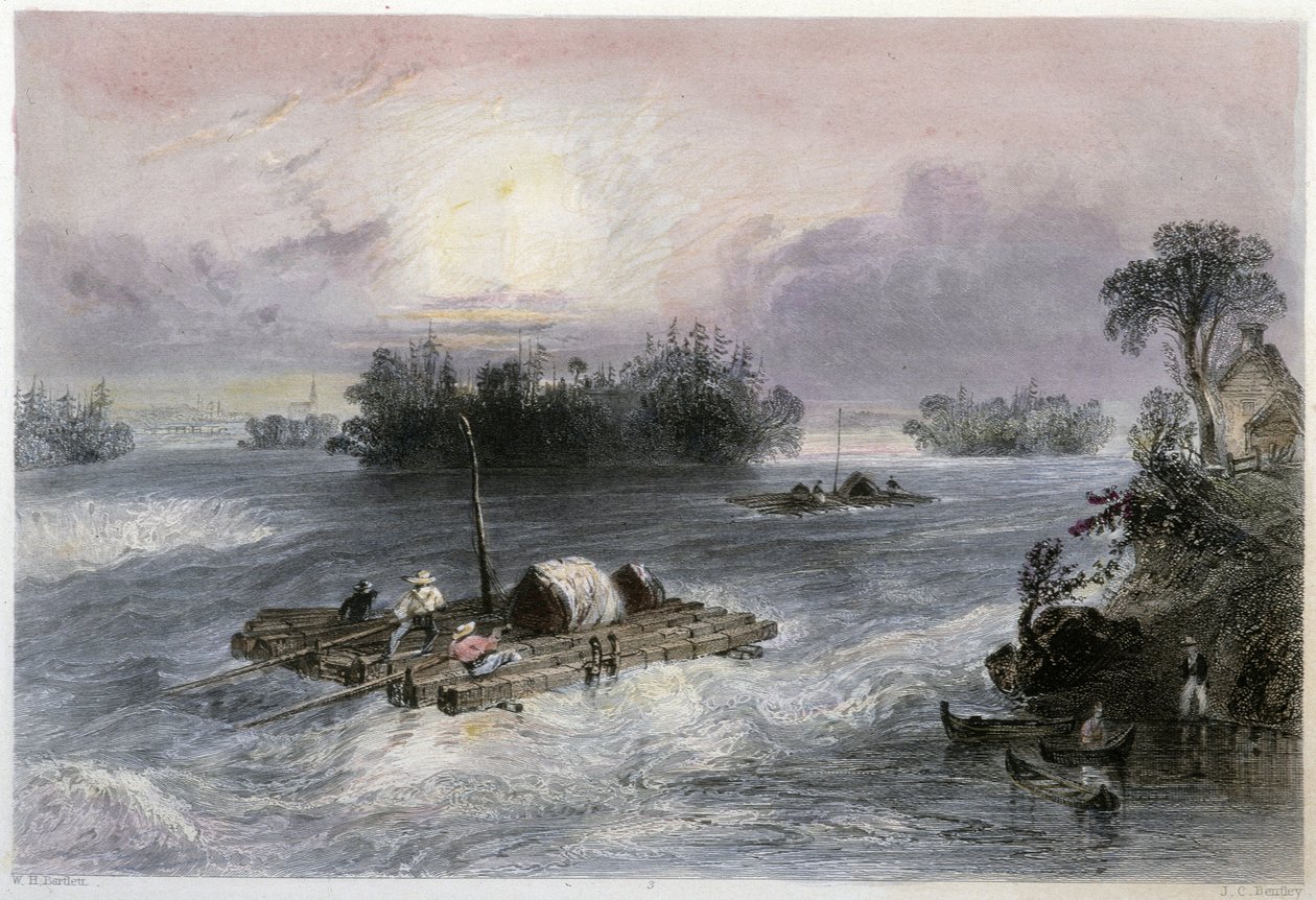 Trasporto di legname e rapide al villaggio di Cedars - in "Canadian scenery illustrated" di Bartlett W. H. da William Henry Bartlett