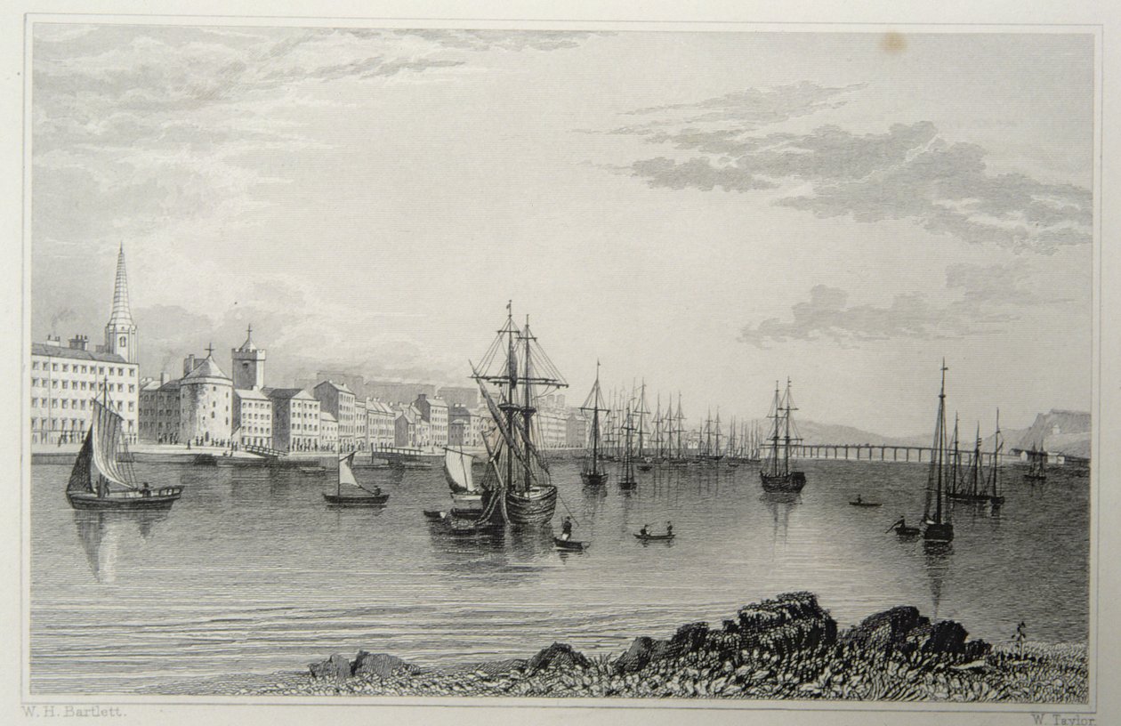 Waterford, Irlanda, inciso da W. Taylor da William Henry Bartlett