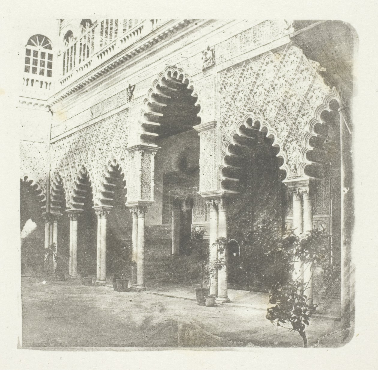 Alcázar di Siviglia da William Henry Fox Talbot