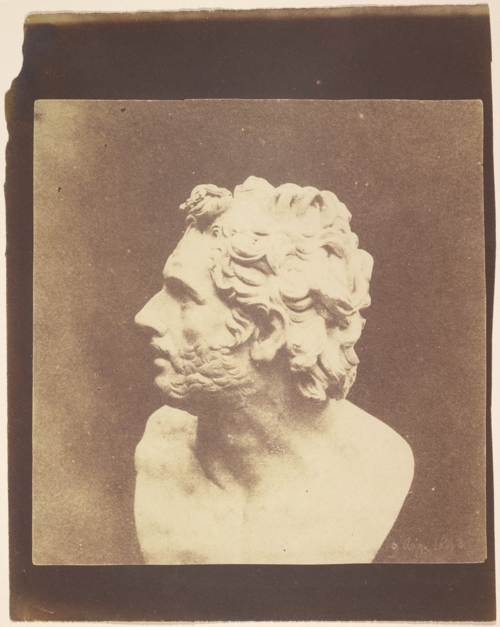 [Busto di Patroclo] da William Henry Fox Talbot