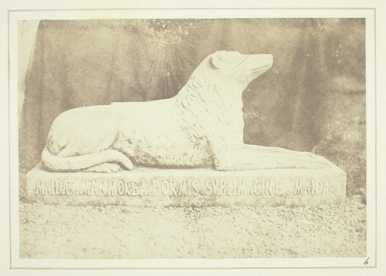 Effigie di Maida, il cane preferito di Sir W. Scott, a lato della porta del salone di Abbotsford da William Henry Fox Talbot