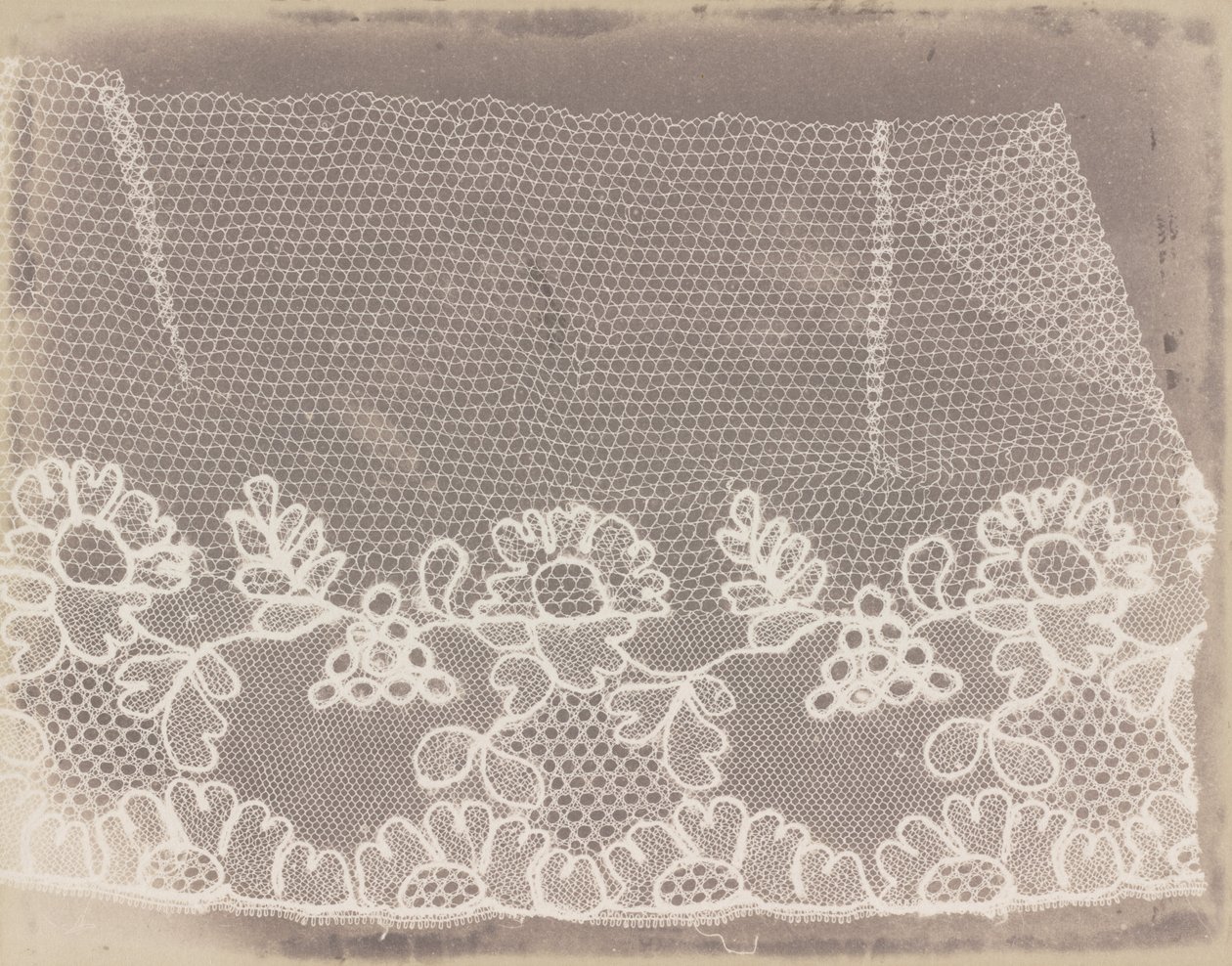 Merletto da William Henry Fox Talbot