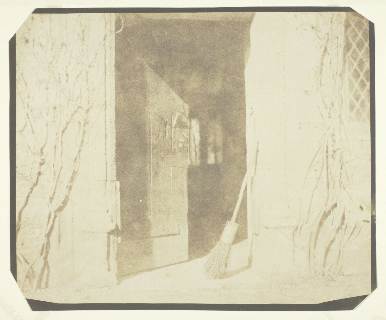 Il soliloquio della ginestra da William Henry Fox Talbot