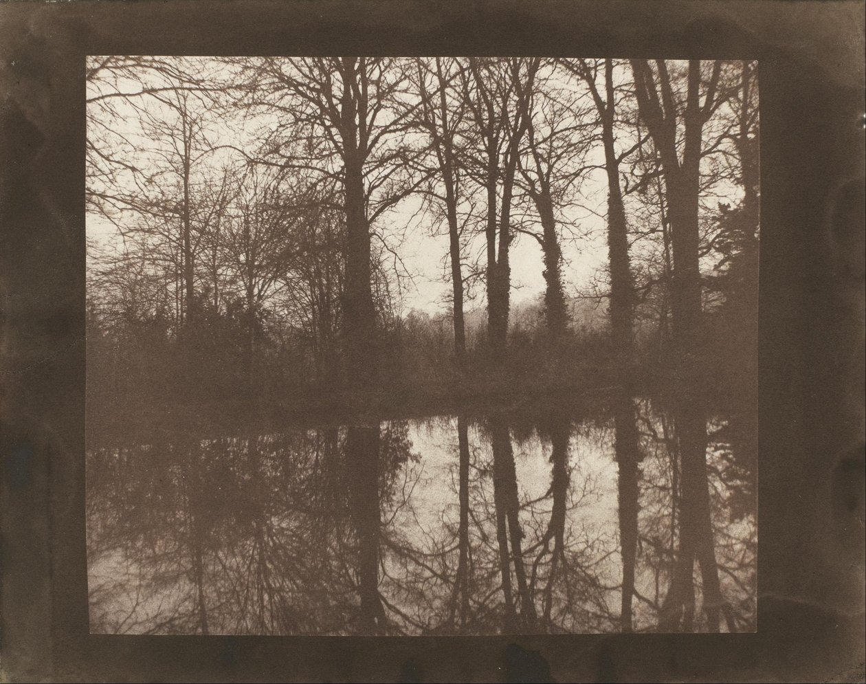 Alberi e riflessi da William Henry Fox Talbot