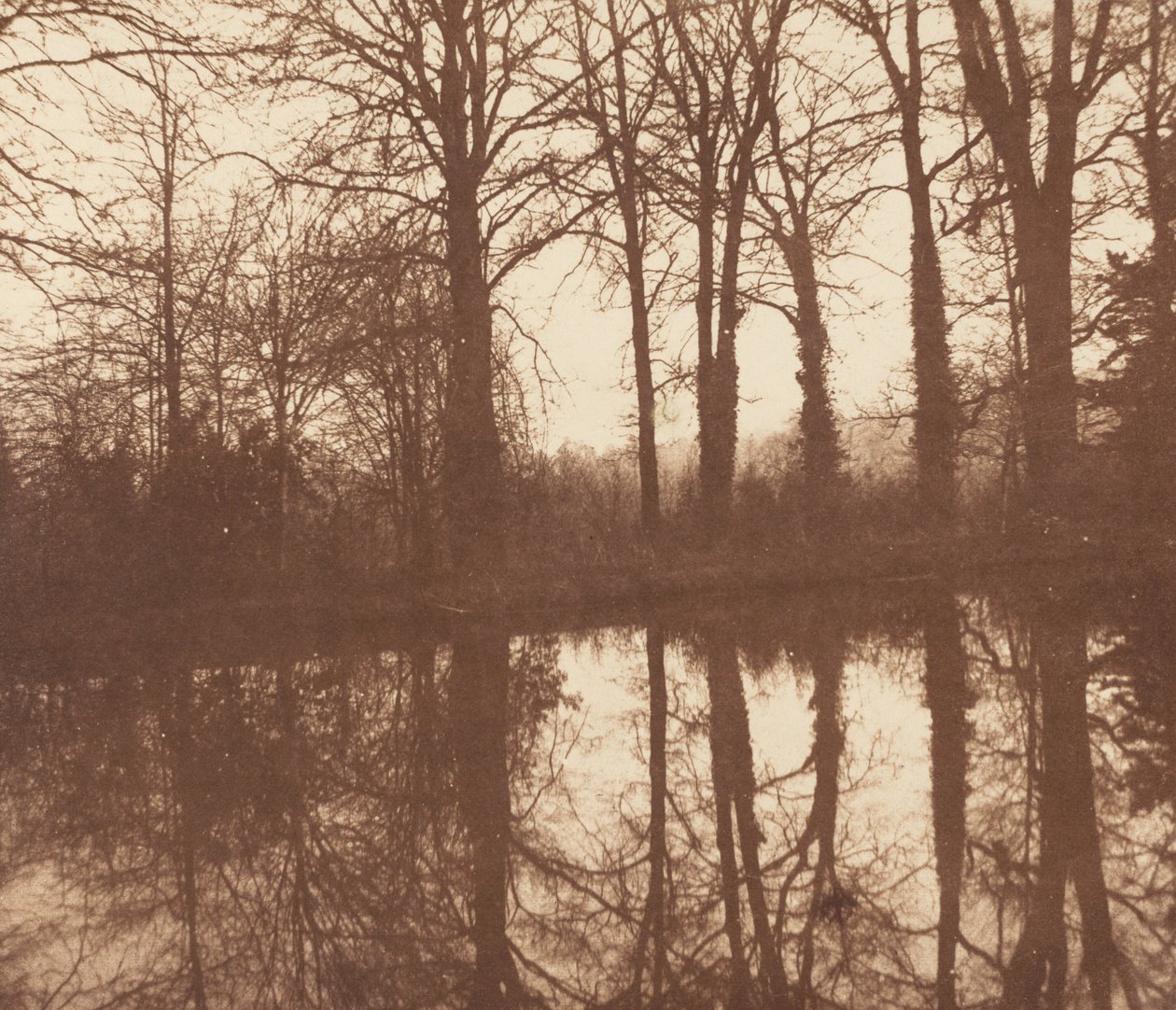 Alberi invernali, riflessi in uno stagno, 1841-1842 (foto) da William Henry Fox Talbot