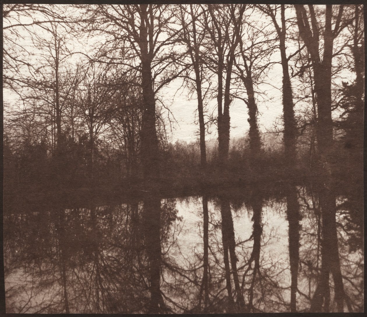 Alberi invernali riflessi in uno stagno, 1841-42 da William Henry Fox Talbot