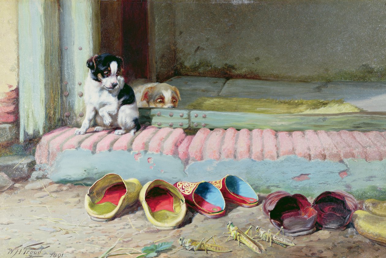 Amico o nemico da William Henry Hamilton Trood