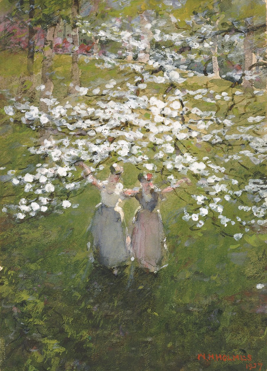 Fiori da William Henry Holmes