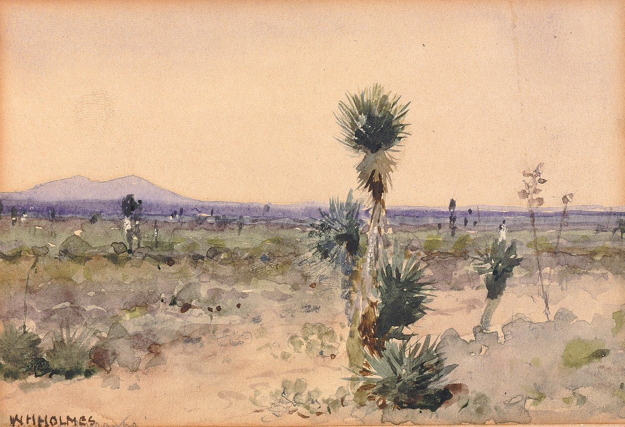 Yuccaland--Chihuahua, Messico, n.d. da William Henry Holmes