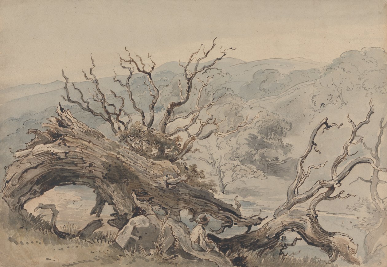 Una quercia abbattuta da William Henry Hunt