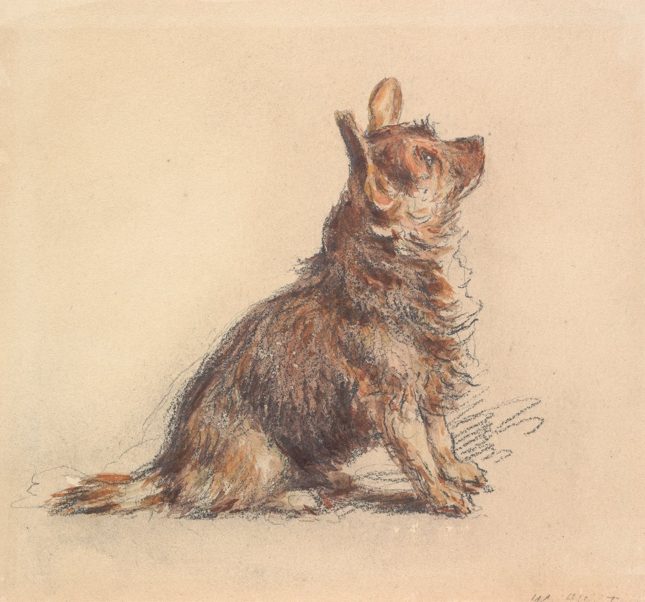 Un terrier seduto, che guarda in alto a destra da William Henry Hunt