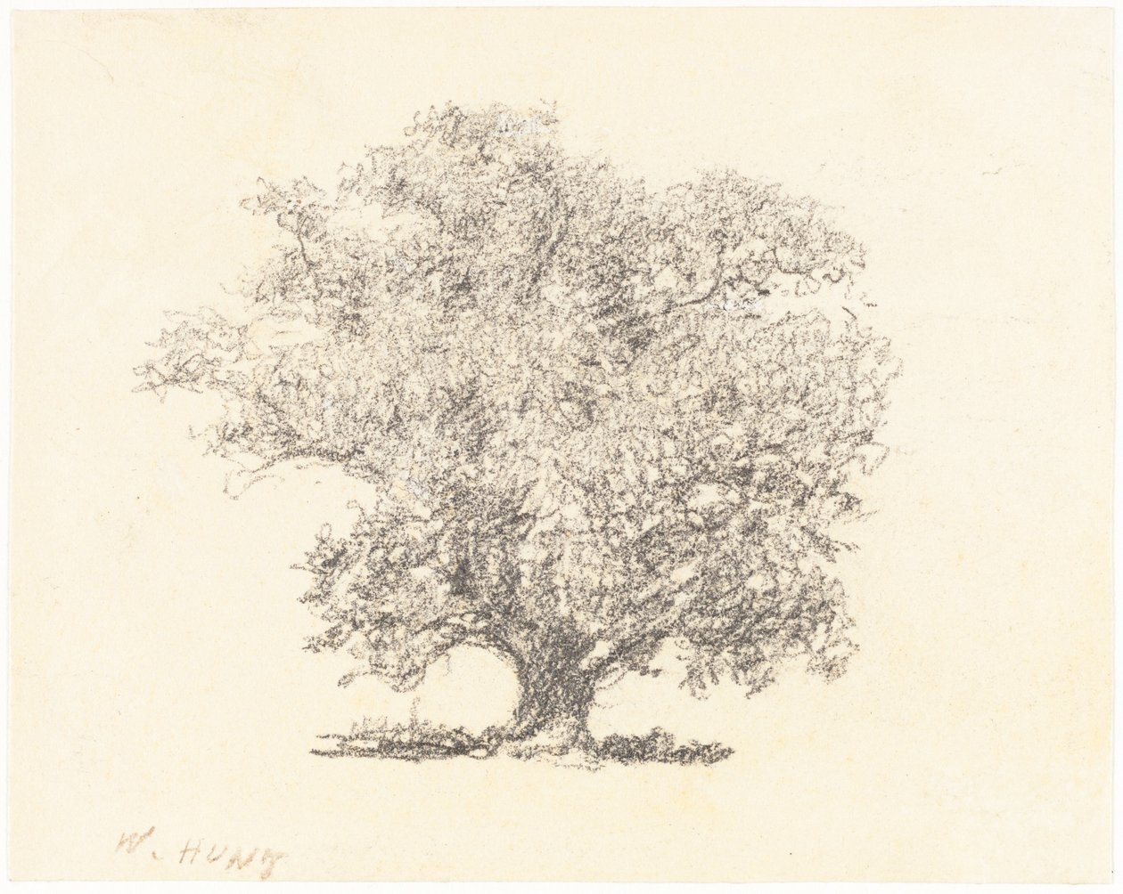 Un albero in piena foglia da William Henry Hunt