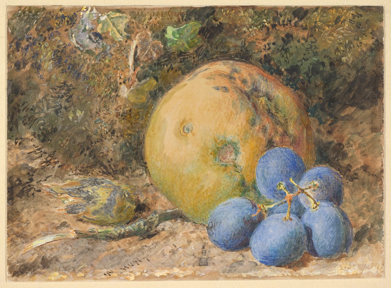 Una mela, uva e una nocciola su una riva muschiosa da William Henry Hunt