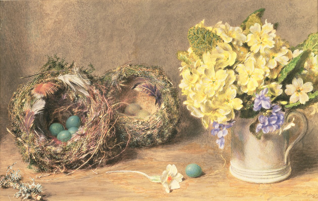 Fiori di Primavera e Nidi di Uccelli, c.1830 da William Henry Hunt