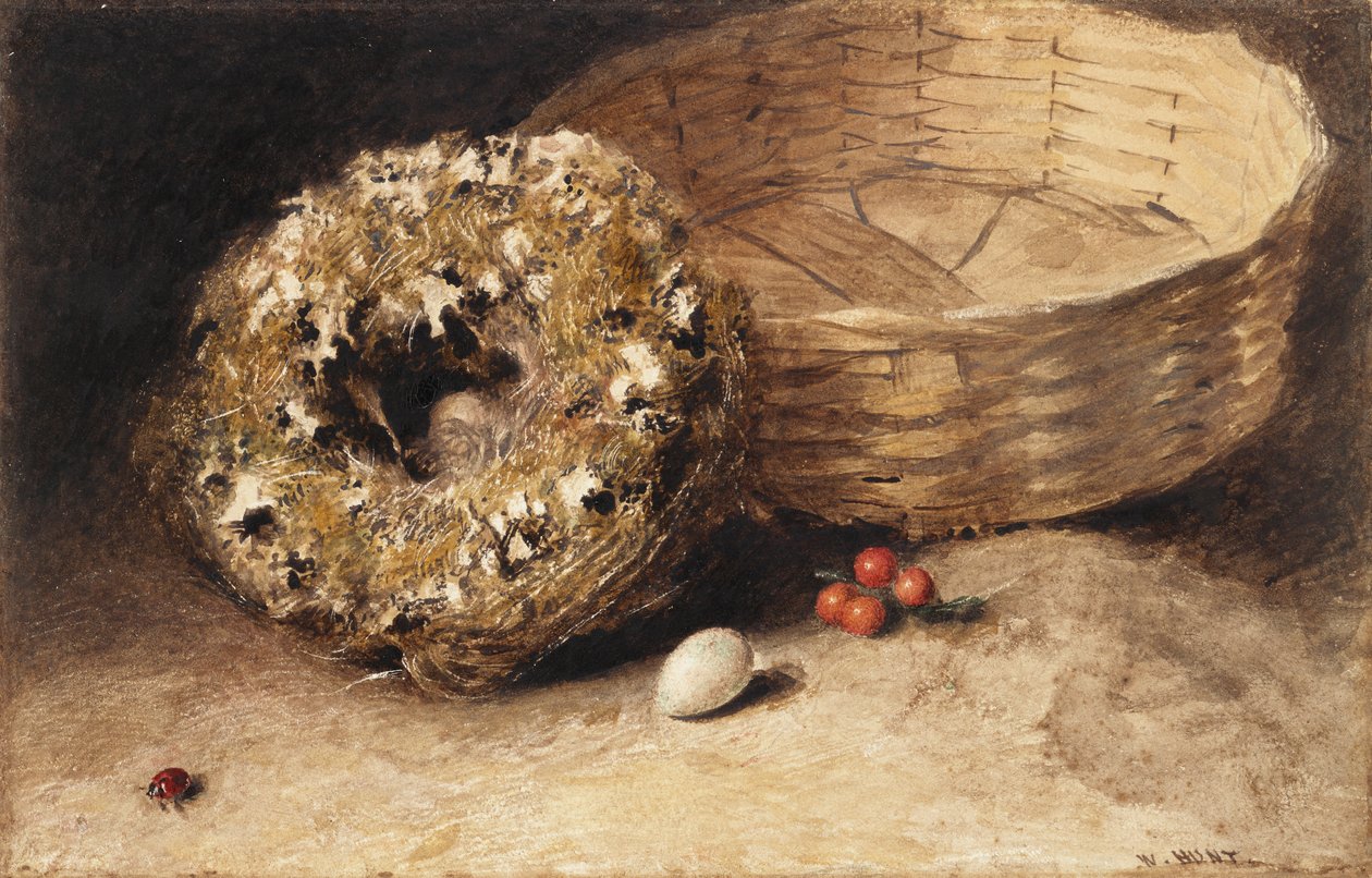 Natura morta con cesto, nido, uovo, ribes rosso e coccinella da William Henry Hunt