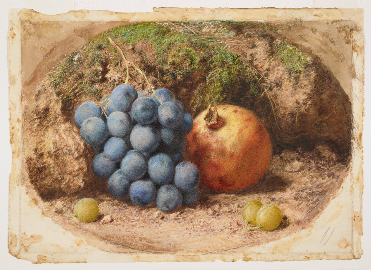 Natura morta con uva e una melagrana da William Henry Hunt
