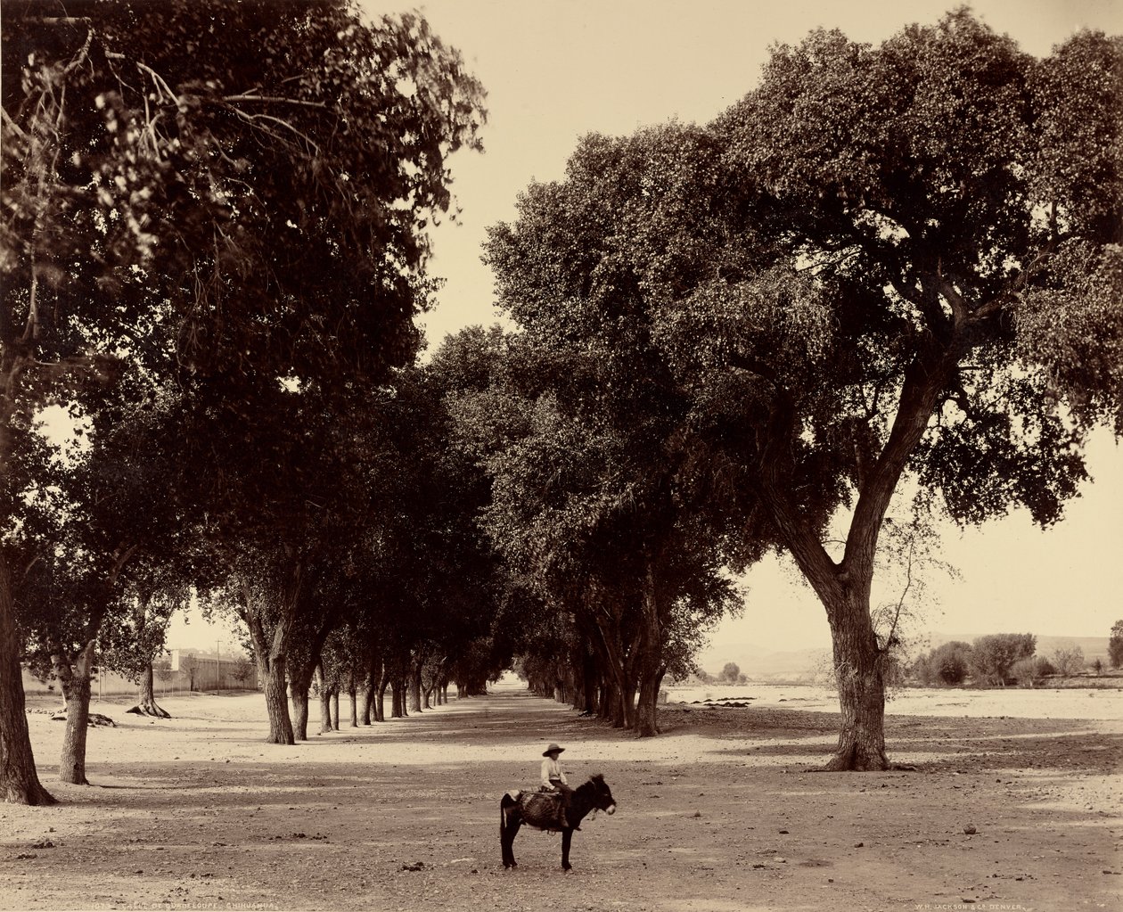 [Calle de Guadeloupe, Chihuahua, Messico] da William Henry Jackson