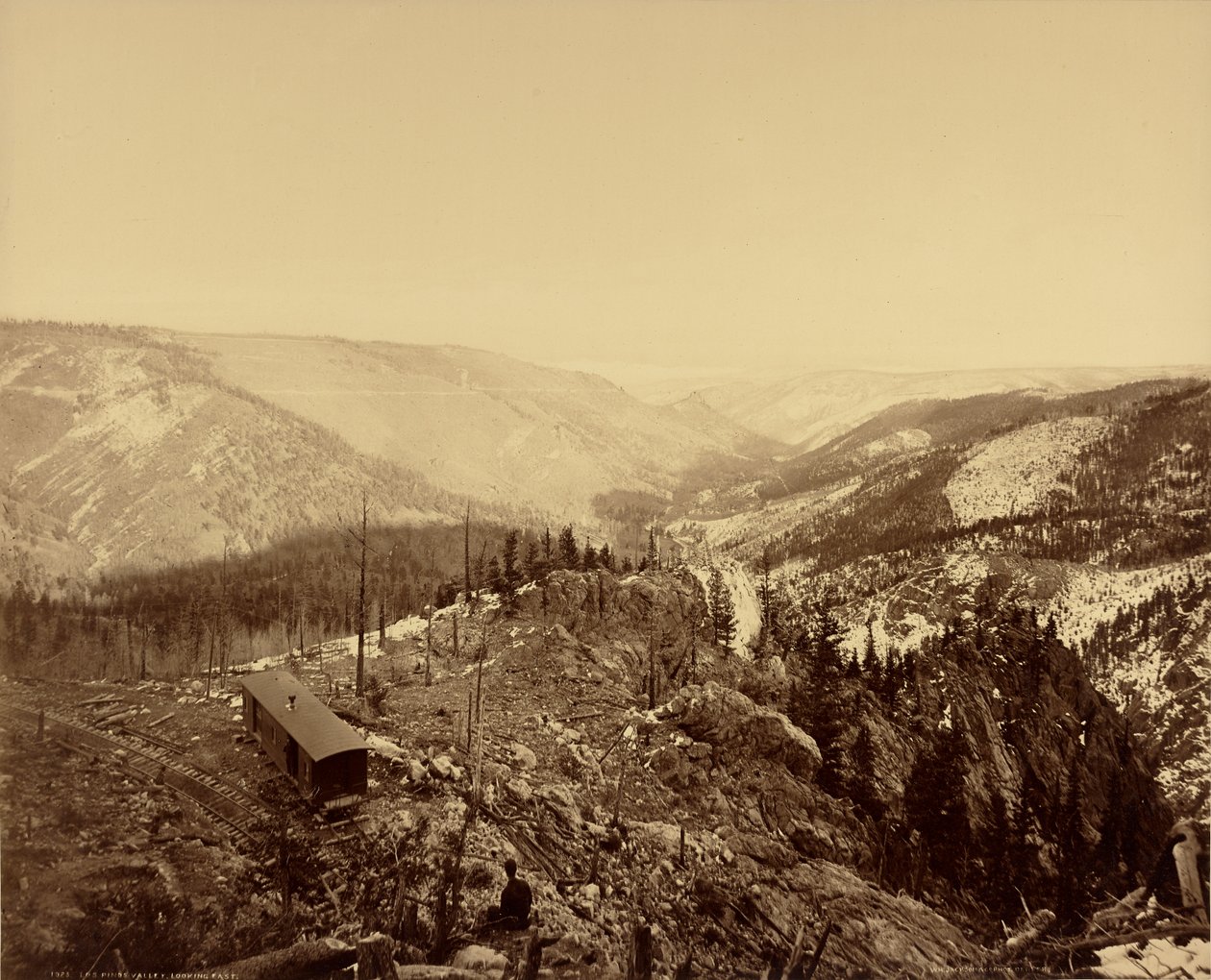 Valle di Los Pinos, sguardo verso est da William Henry Jackson