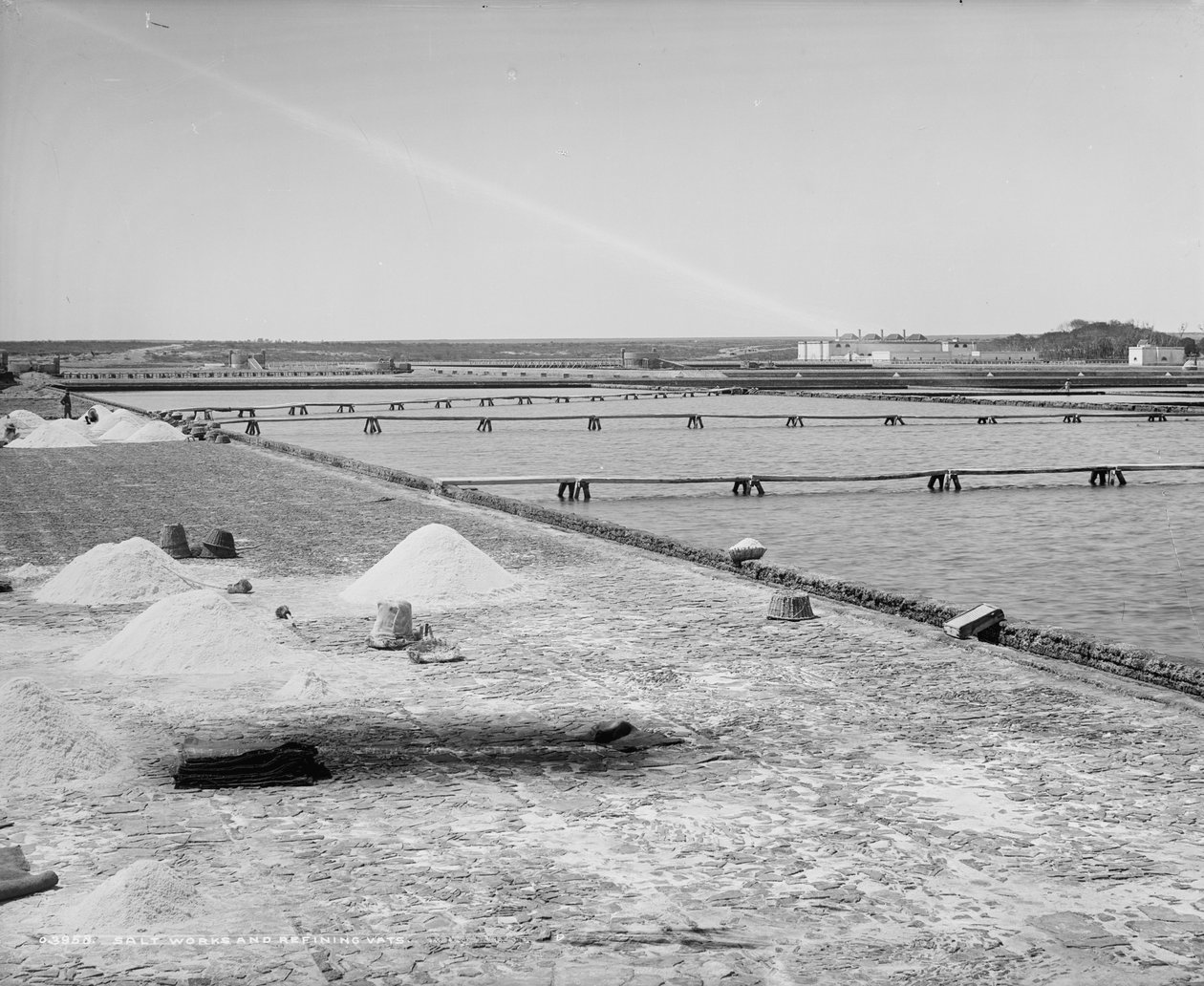 Saline e vasche di raffinazione, Messico, c.1880-97 da William Henry Jackson