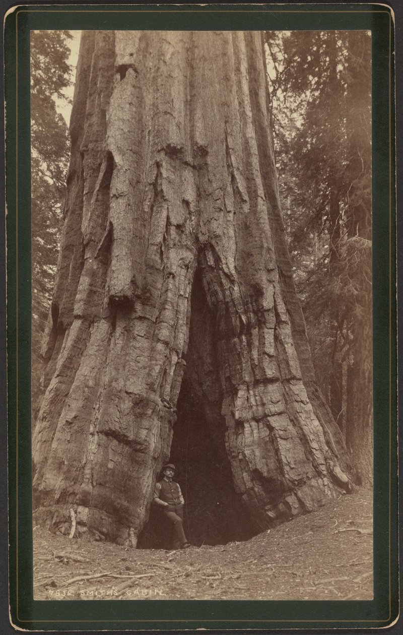 Cabina Smiths da William Henry Jackson