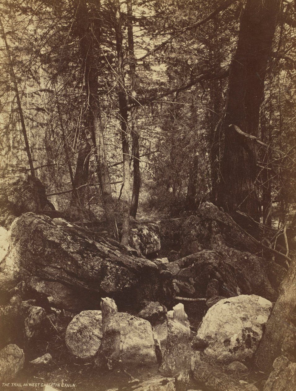 Il sentiero nel West Gallatin Canyon da William Henry Jackson