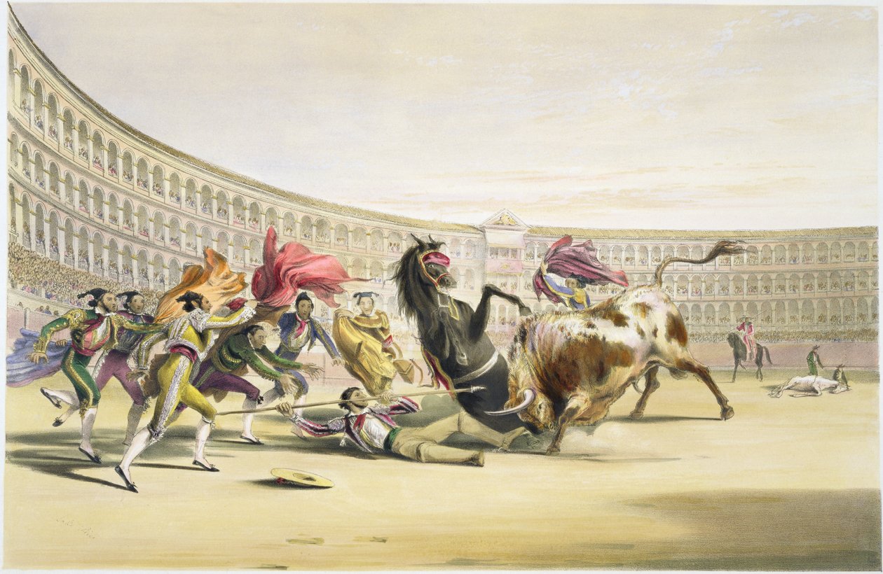 Il picador in pericolo, 1865 da William Henry Lake Price