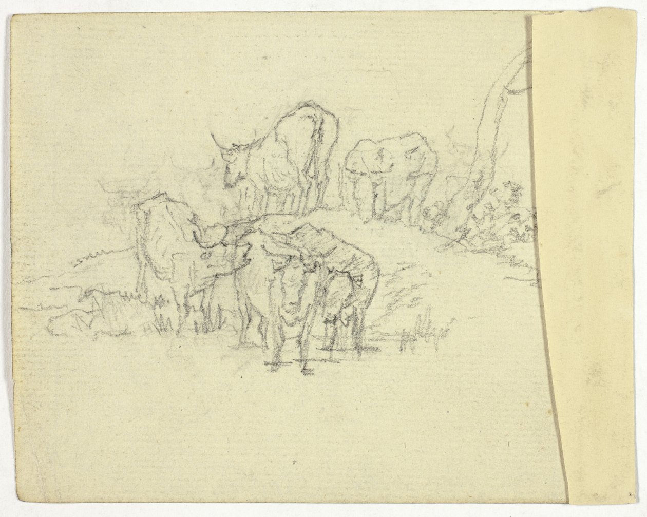 Bovini (recto); Il ciarlatano (verso) da William Henry Pyne