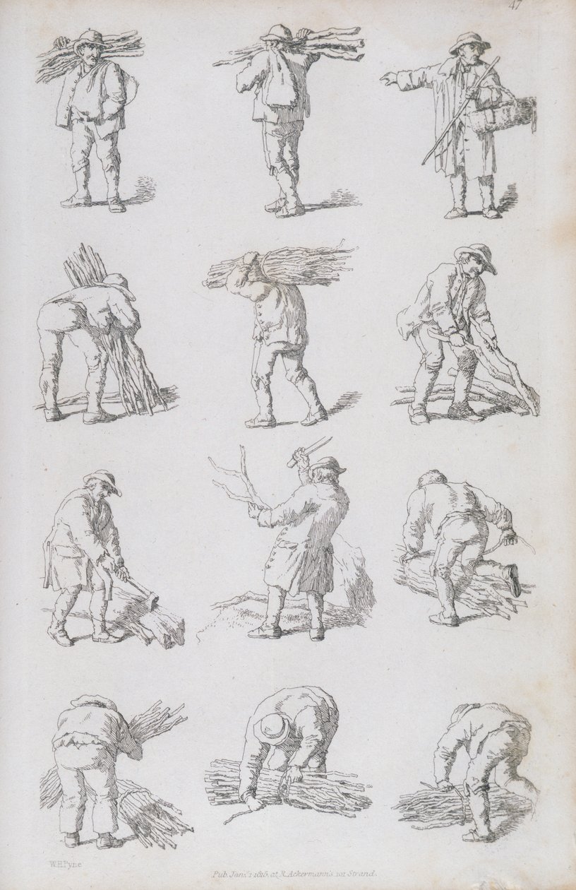 Illustrazione da 