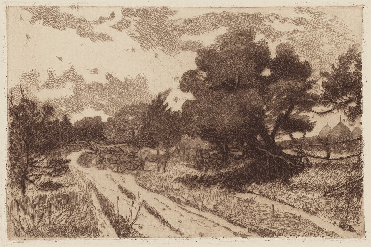 Una strada di Long Island da William Henry Shelton