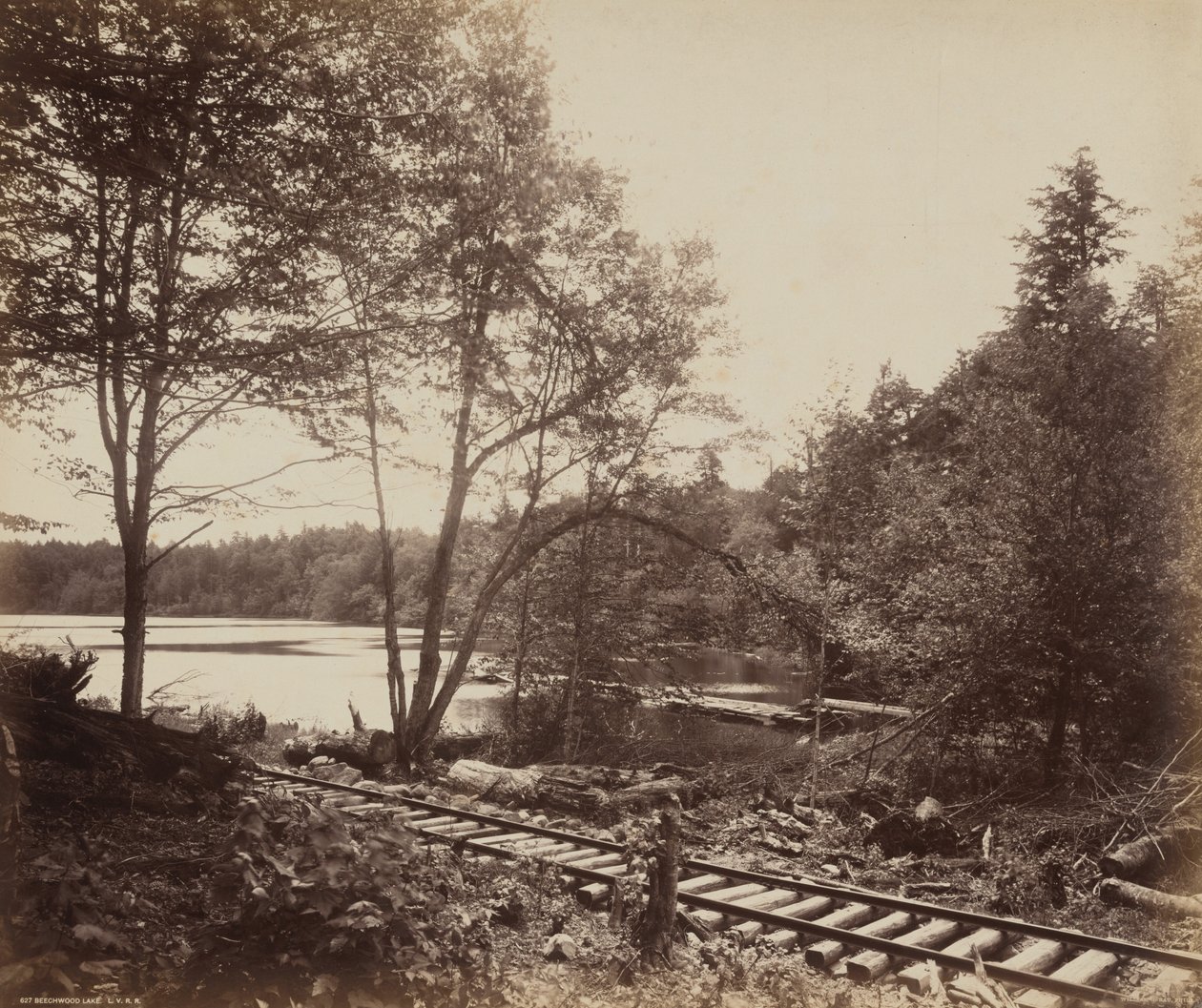 Lago Beechwood, c. 1895 (foto) da William Herman Rau