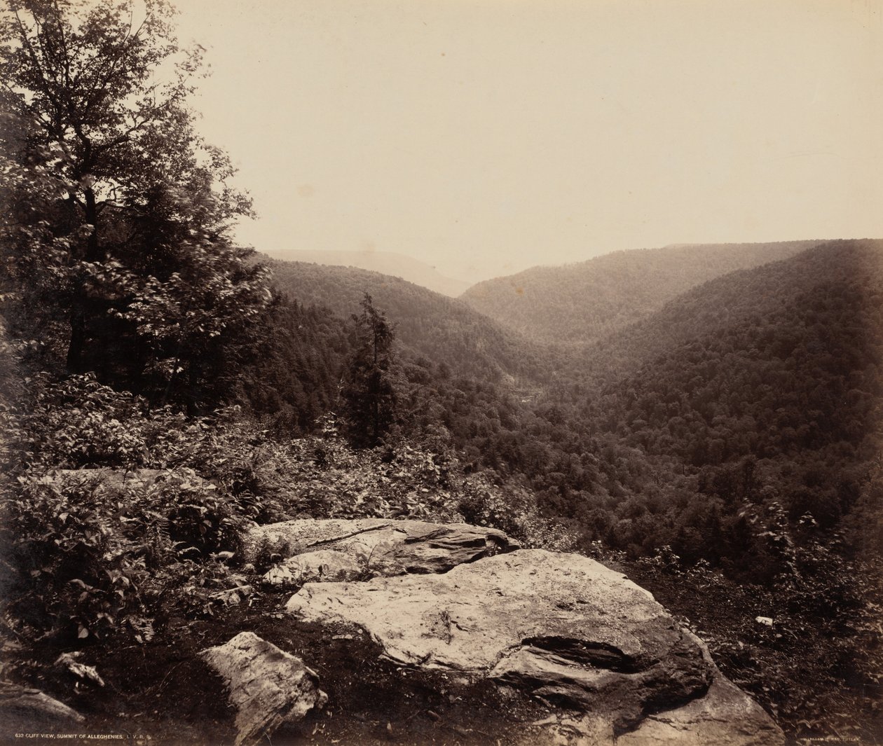 Vista sulla scogliera, cima degli Alleghenies, c. 1895 (foto) da William Herman Rau