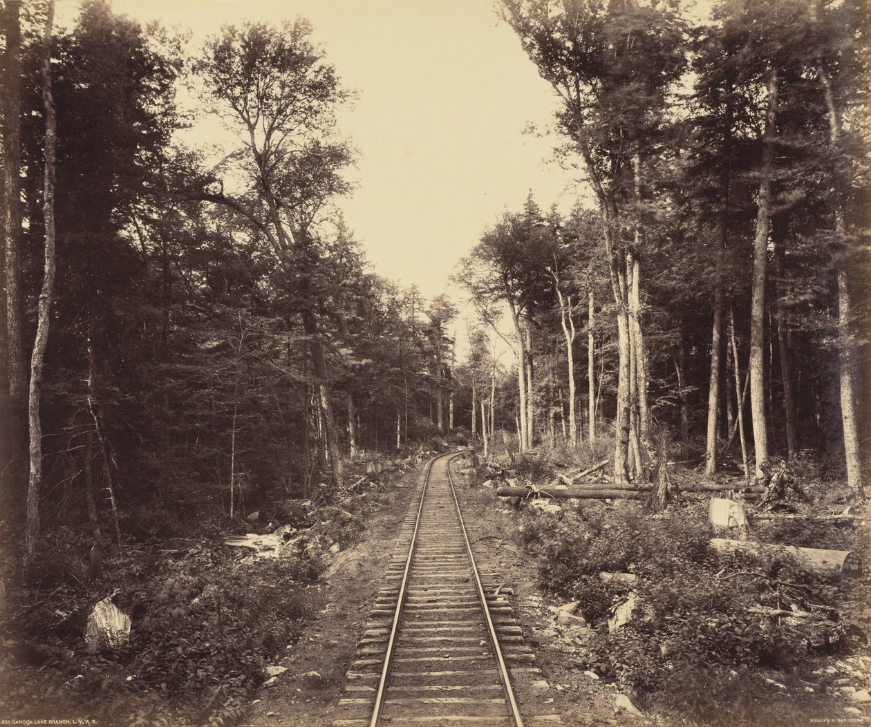 Ramo del lago Ganoga, 1895 circa (foto) da William Herman Rau