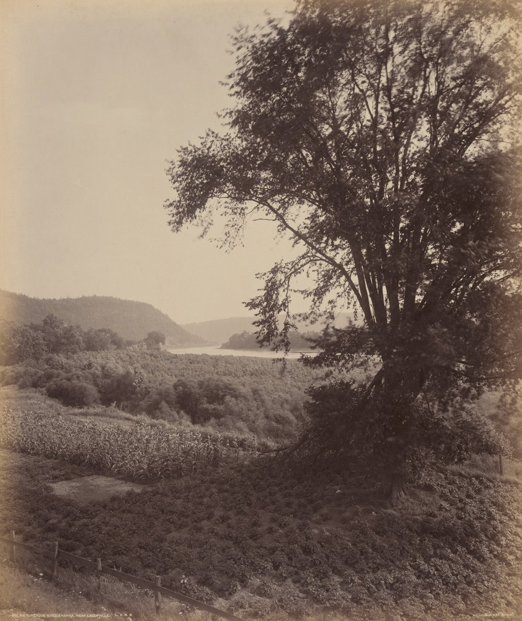 Susquehanna pittoresco, vicino a Laceyville, 1895 circa (foto) da William Herman Rau