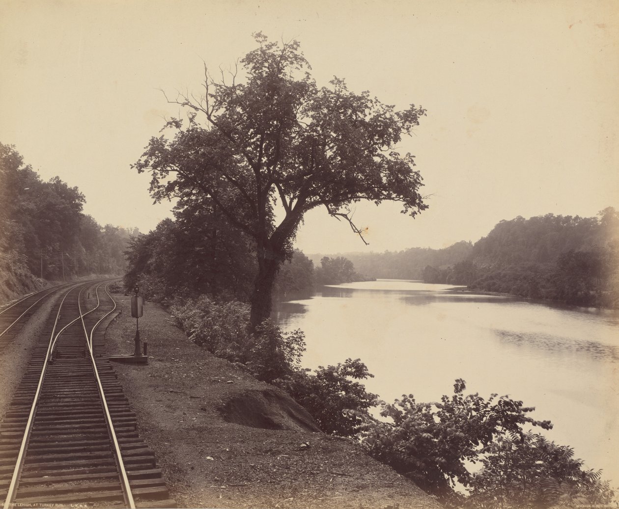 Il Lehigh, a Turkey Run, c. 1895 (foto) da William Herman Rau
