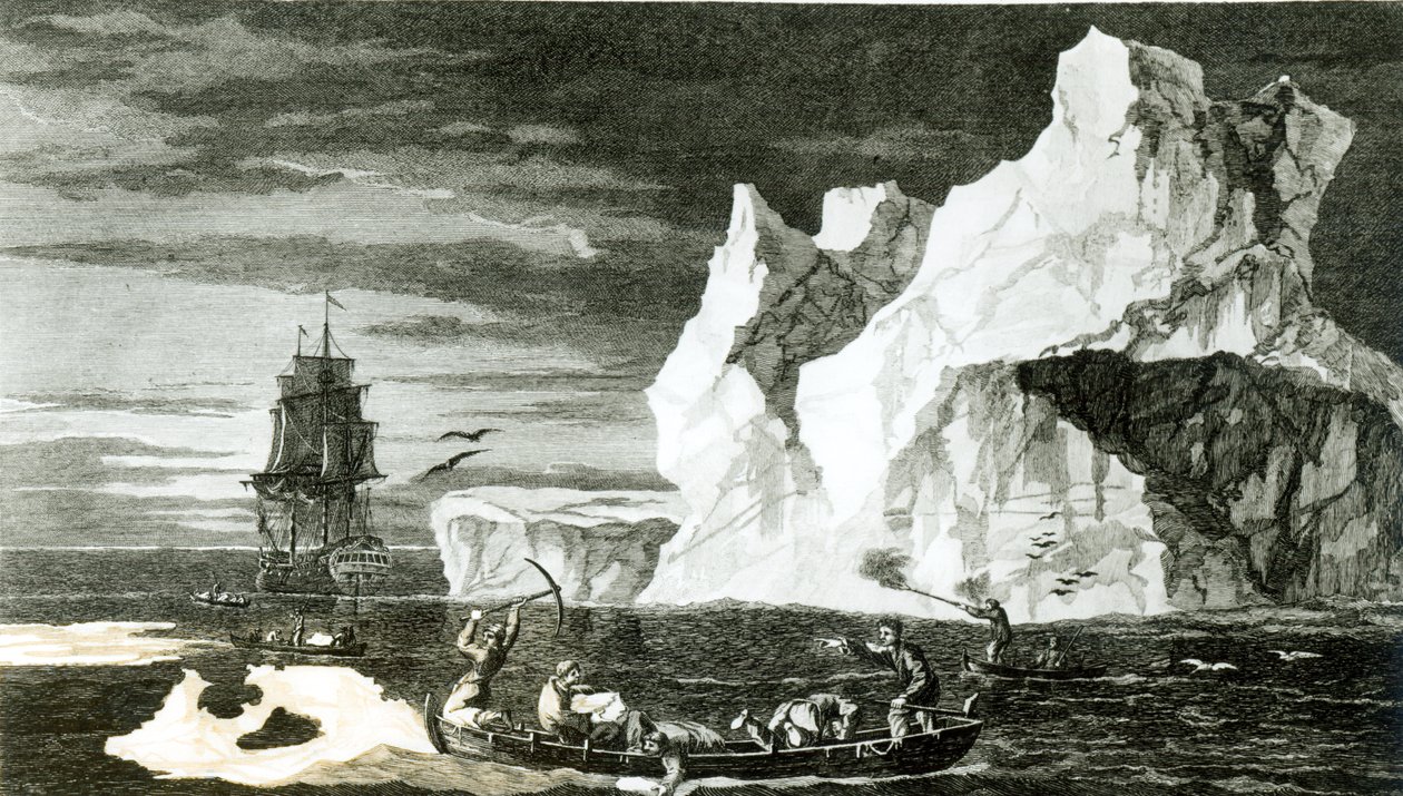 Le isole di ghiaccio il 9 gennaio 1773, inciso da B. T. Pouney, 31 febbraio 1777 da William Hodges