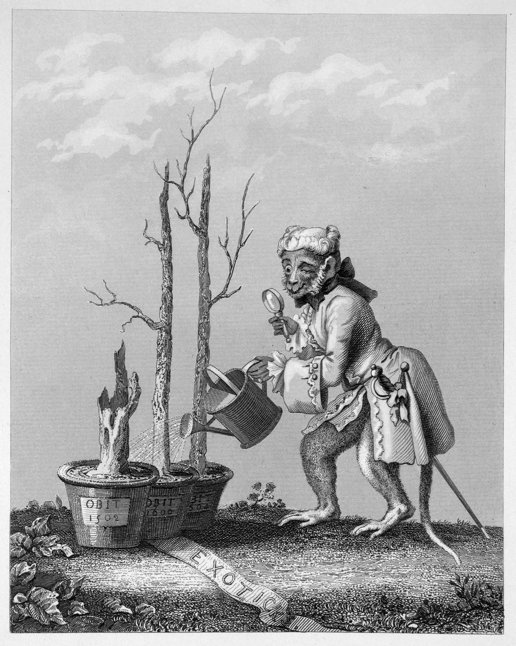 Coda, pezzo al catalogo degli artisti, 1761 da William Hogarth