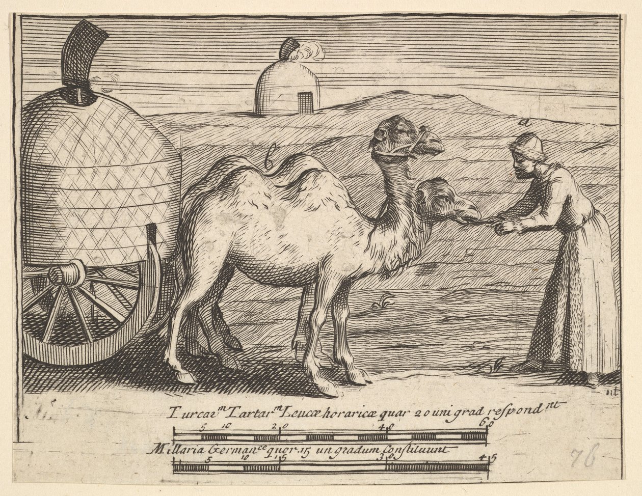 Due dromedari dai viaggi di Aubry de La Mottraye in Europa, Asia e in parte, 1723-24 da William Hogarth