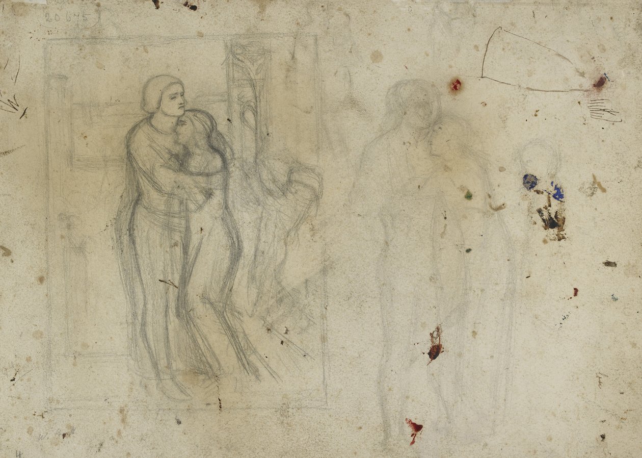 Studi per 