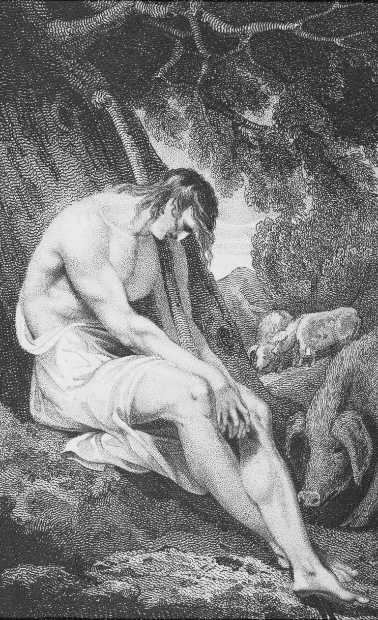 Il figliol prodigo, da 