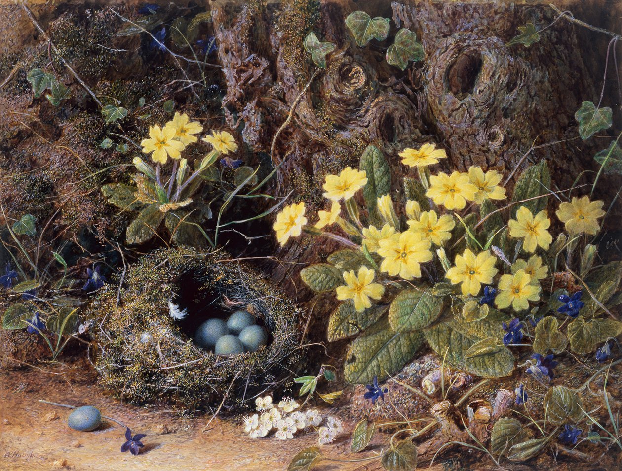 Natura Morta con Nido di Uccelli, Primule e Viole da William Hough