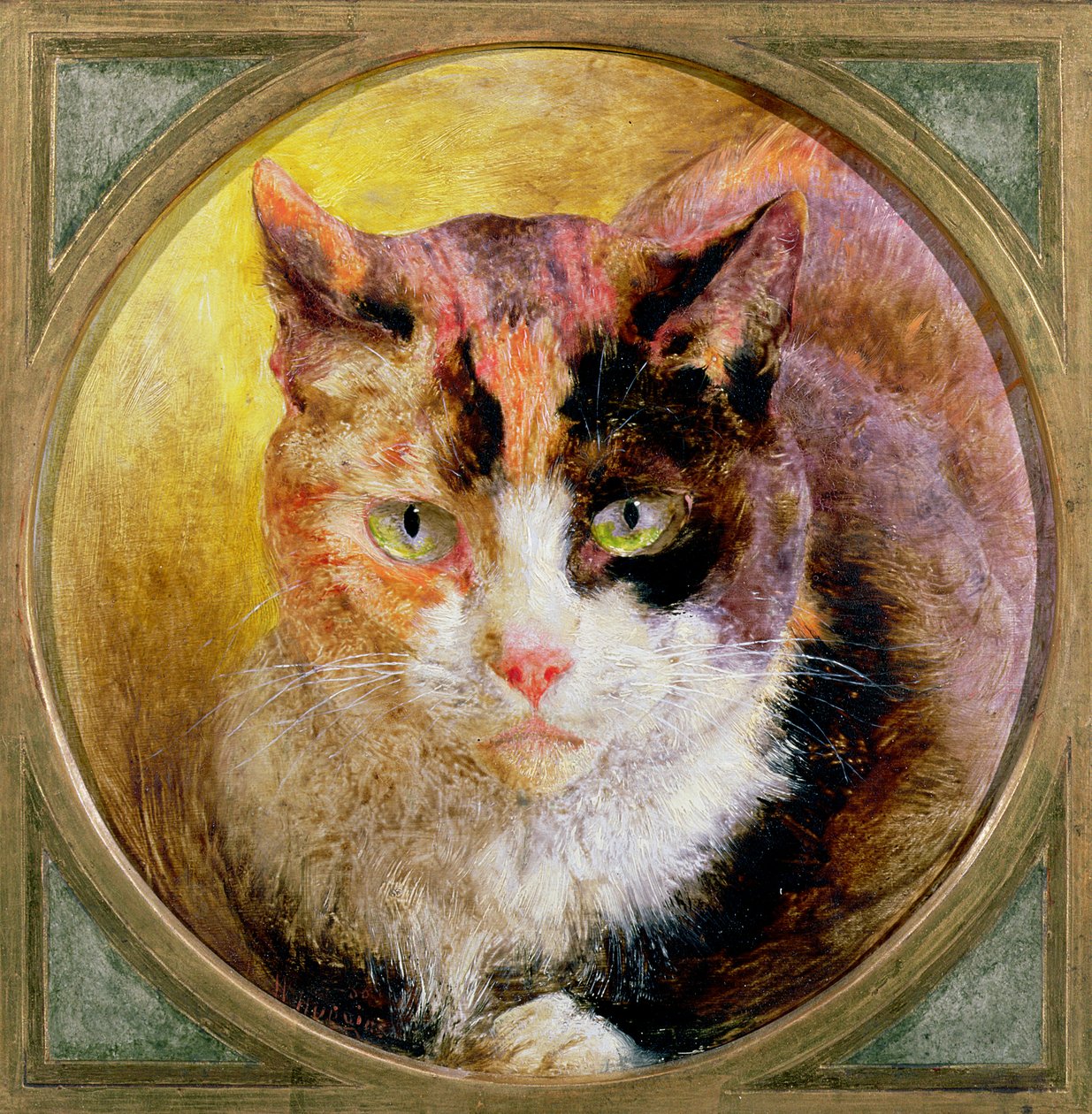 Studio della testa di un gatto tartarugato da William Huggins
