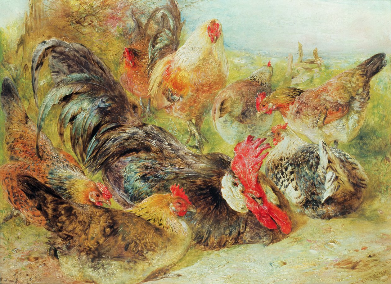 Pollame da William Huggins