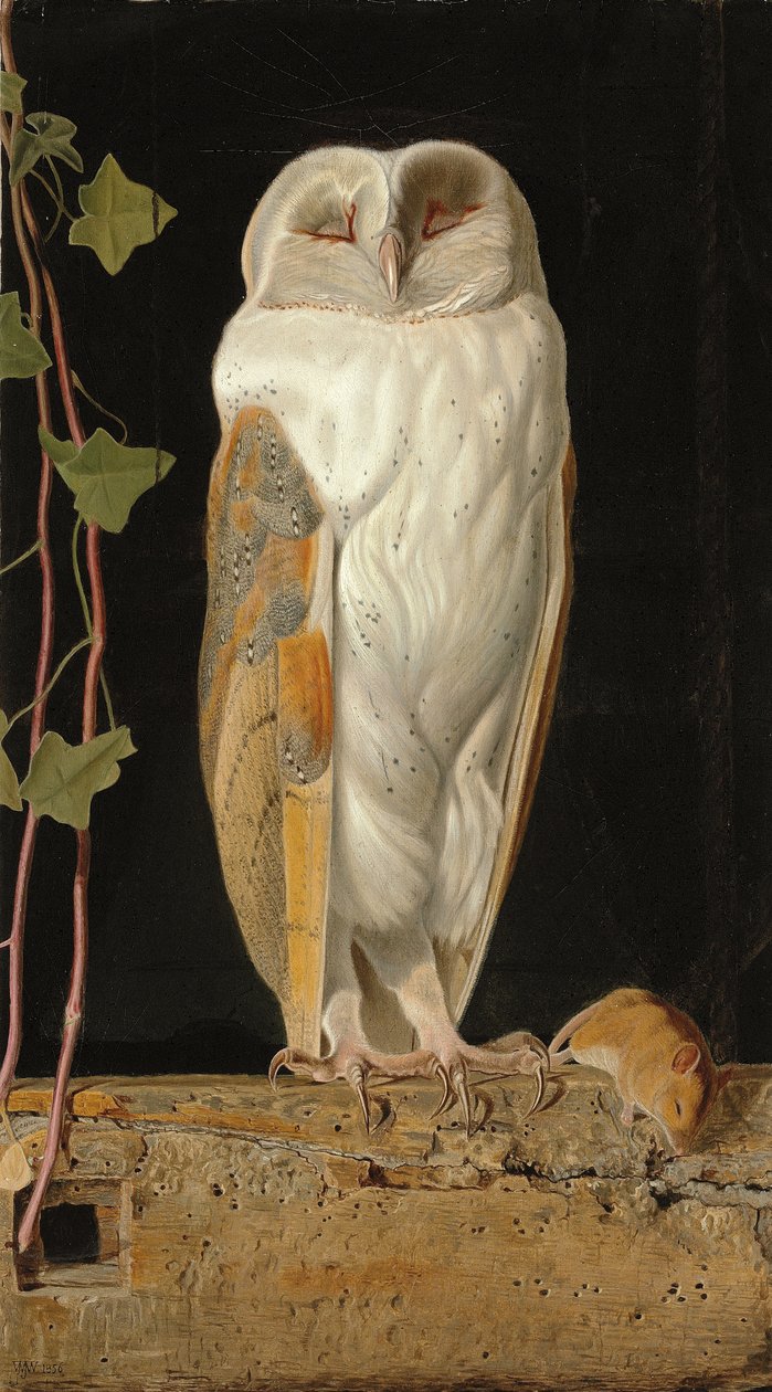 Il gufo bianco: "Solo e riscaldando i suoi cinque sensi, il gufo bianco nella campana siede", 1856 da William J. Webbe