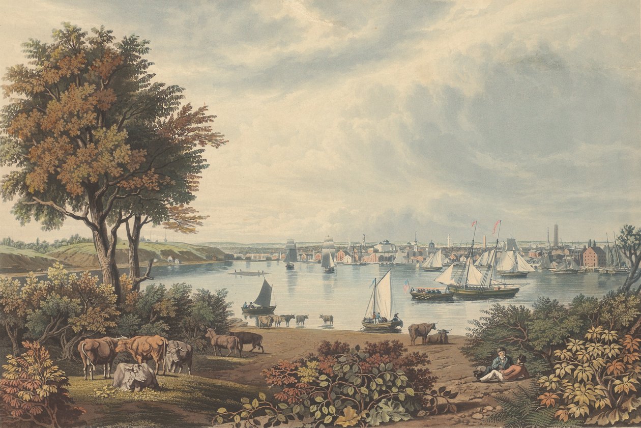 Baltimora presa vicino a Whetstone Point da William James Bennett